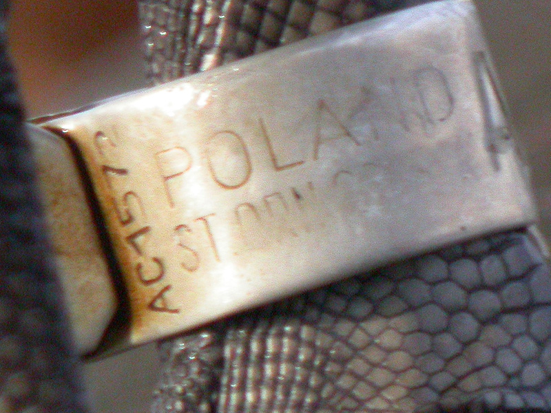 Opotřebovaný kroužek GDANSK AC1572 u labutě velké, Choceň, 10.12.2009 - foto: J. Vrána CygOlo_AC1572