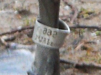 PRAHA L995, 24.01.2008, Pardubice - foto: F. Bárta