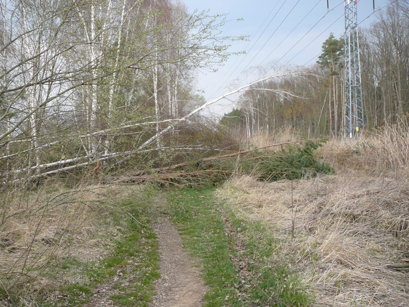 po vichřici... - foto Světlana Vránová