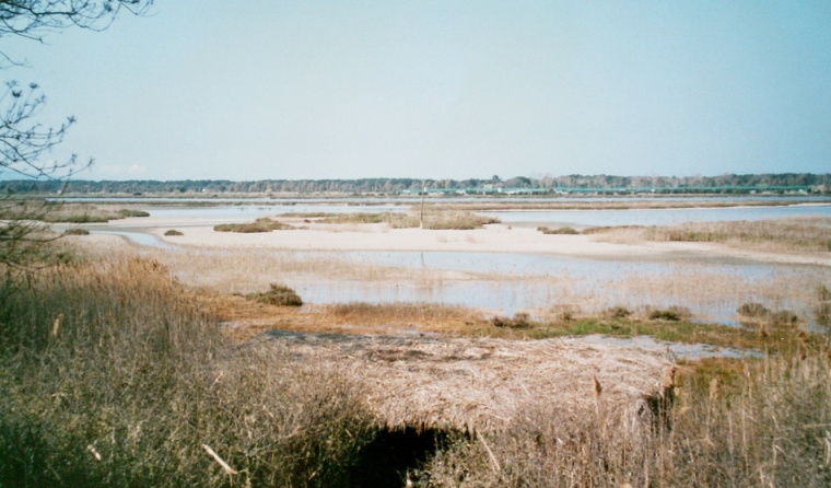 NP Orbetello - pohled na laguny. Foto - Jiří Mach.