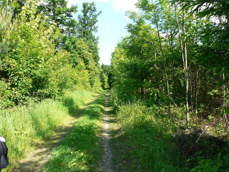 Hřebenová cesta na vrcholku Chlumu – dějiště popsaného příběhu. Foto – Vojtěch Volf. 20100101b