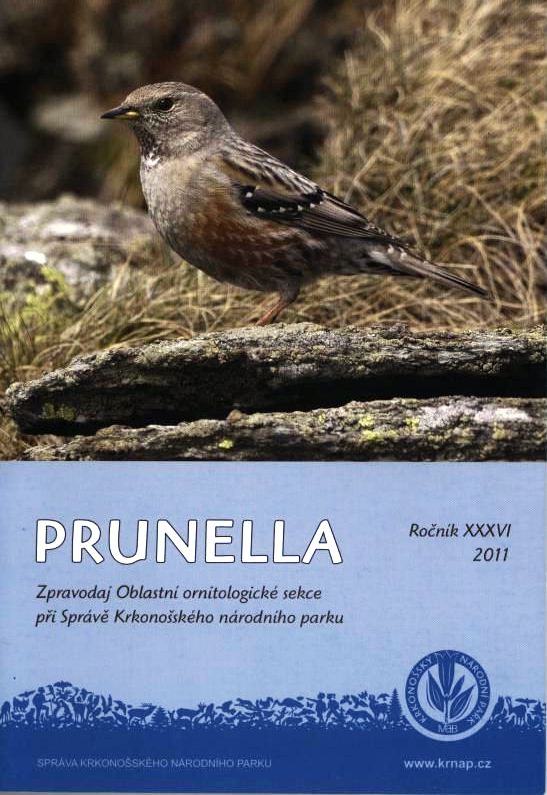 prunella1