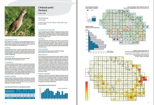 náhled na druhovou část - chřástal polní. zdroj:  Ptáci Krkonoš – atlas hnízdního rozšíření 2012–2014