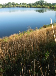 Zatopené štěrkopískovny (pískovna Obědovice II). Foto L. Kadava