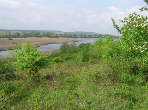 Žehuňský rybník, východní část. Foto L. Urbánek