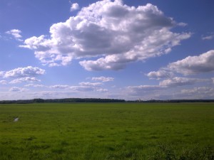 Současná tvář bystřické nivy. Foto L. Kadava