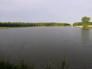 Rybník Temník. foto P. Hůlka