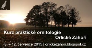 ornitologický kurz 2015