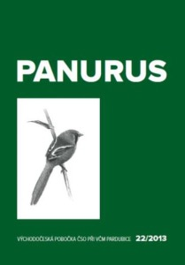 panurus_obrazek