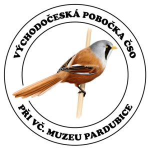 pobocka logo