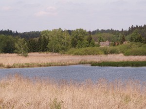 Pohled na zadní část Dolního rybníka. Foto J. Mach