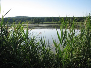 Rybník Šmatlán. Foto P. Lumpe