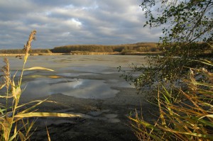 PR Žernov. Foto S. Vránová